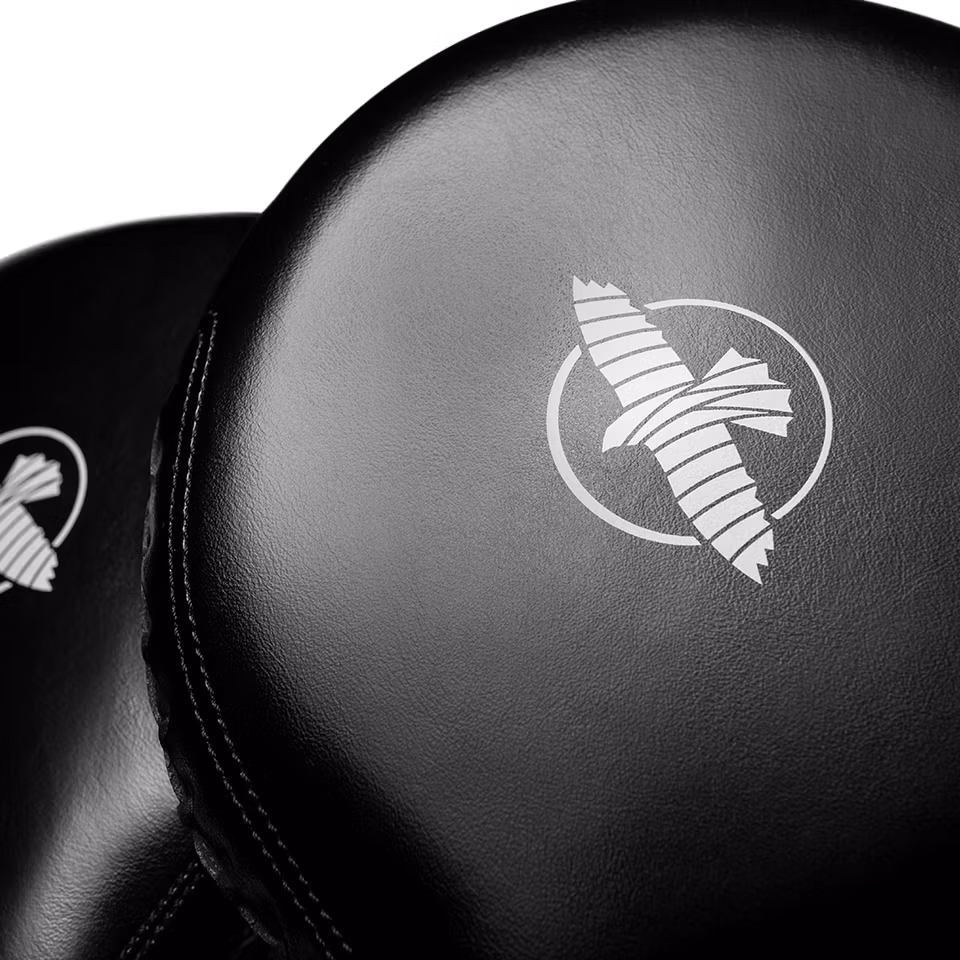 Hayabusa poksi märklauad - Image 5