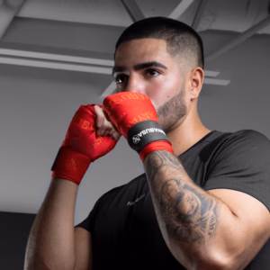 Alternative view of Hayabusa Deluxe sidemed - punased